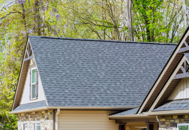 Best Roof Maintenance and Cleaning  in North Kansas City, MO